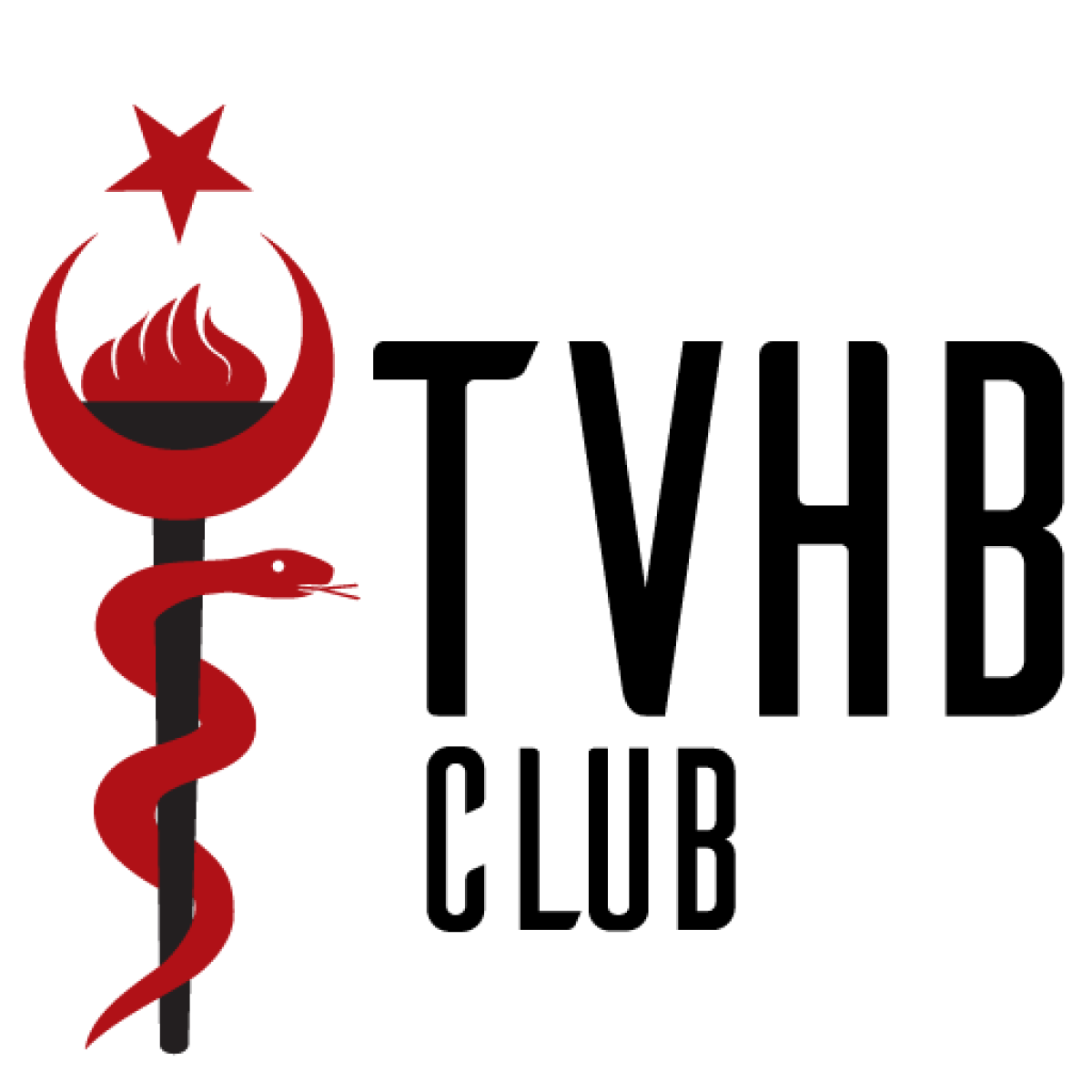 TVHB Logo